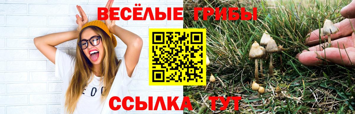 Партизанск  Галлюциногенные грибы Psilocybine cubensis  дарнет шоп  Вход с VPN 